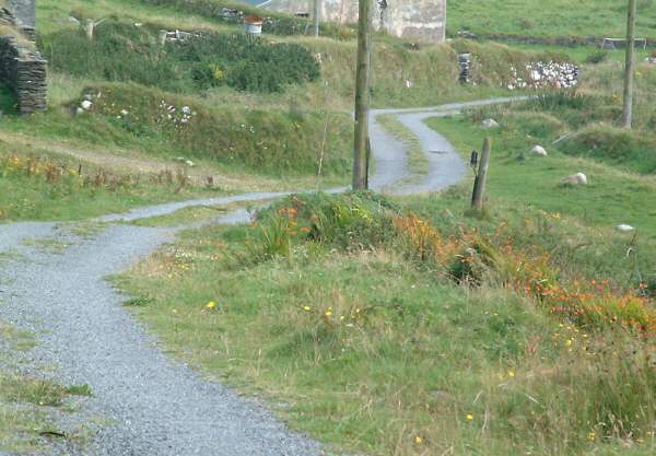 West Cork - Dursey Island