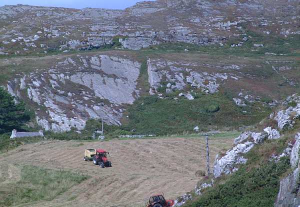 West Cork - farming