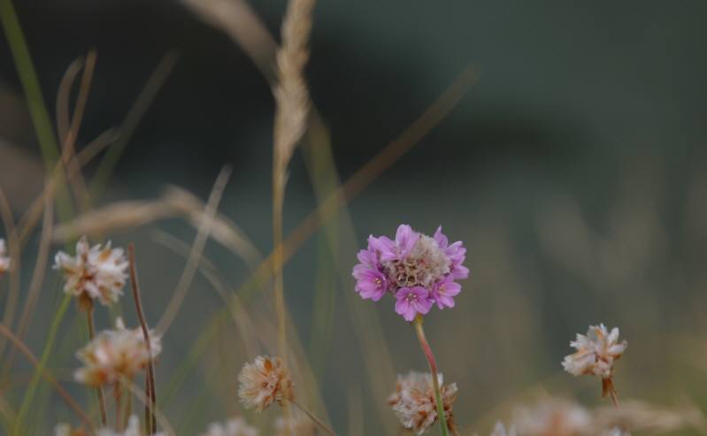 West Cork land and seascapes