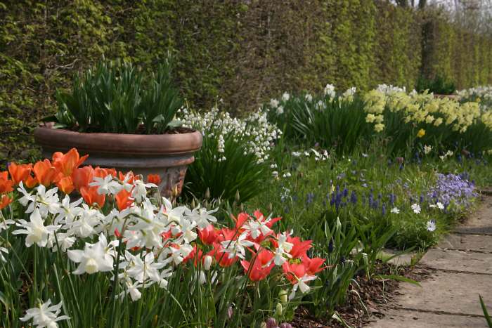 Sissinghurst Castle Gardens - Lime Walk